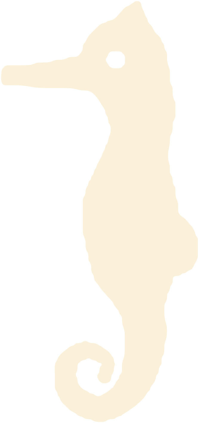 Hippocampe Symbole Creme